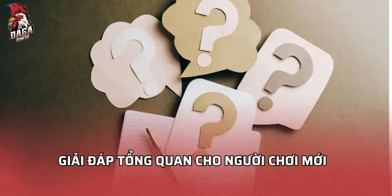giai-dap-tong-quan-cho-nguoi-choi-moi