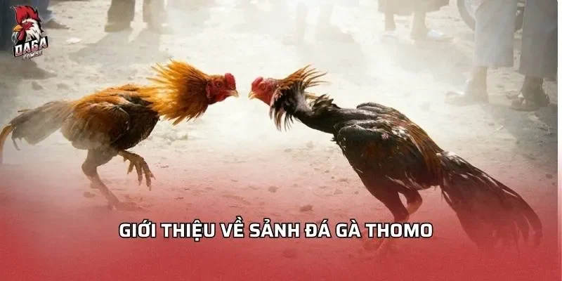 gioi-thieu-ve-sanh-da-ga-thomo