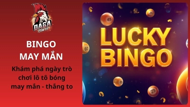 Bingo là gì? Mẹo chơi Bingo may mắn tại DAGA