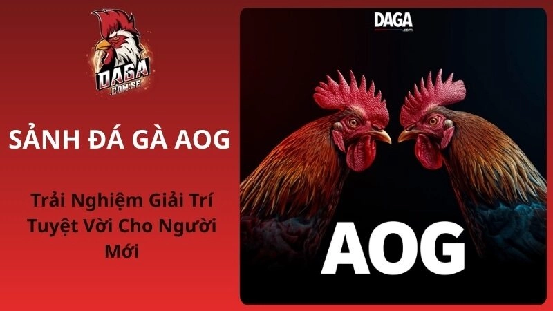 Sảnh Đá Gà AOG: Trải Nghiệm Giải Trí Tuyệt Vời Cho Người Mới