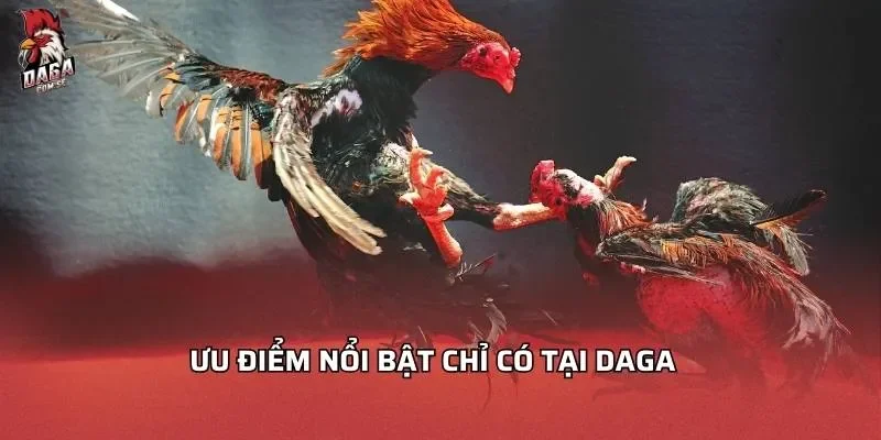 Ưu điểm nổi bật chỉ có tại Daga