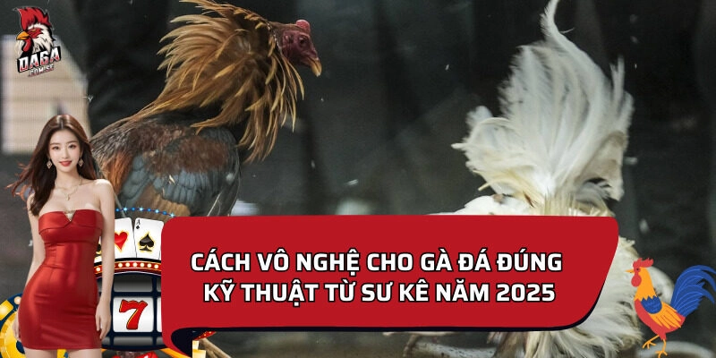 Cách vô nghệ cho gà đá giúp da dày, đỏ và bền đòn