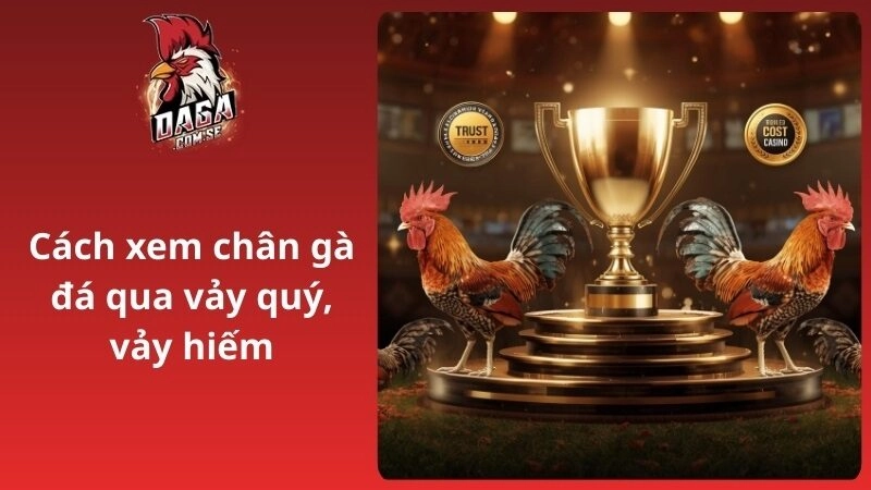 Cách xem chân gà đá qua vảy quý, vảy hiếm