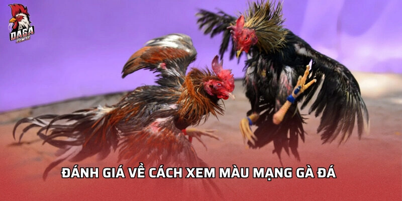 Đánh giá về cách xem màu mạng gà đá