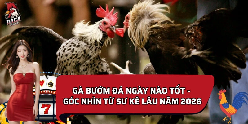 Gà bướm đá ngày nào tốt theo phong thủy và ngũ hành