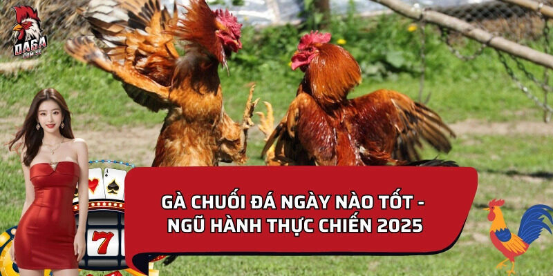Kinh nghiệm xem gà chuối đá ngày nào tốt trước khi ra trường