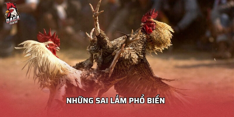 kinh nghiệm đá gà chuối