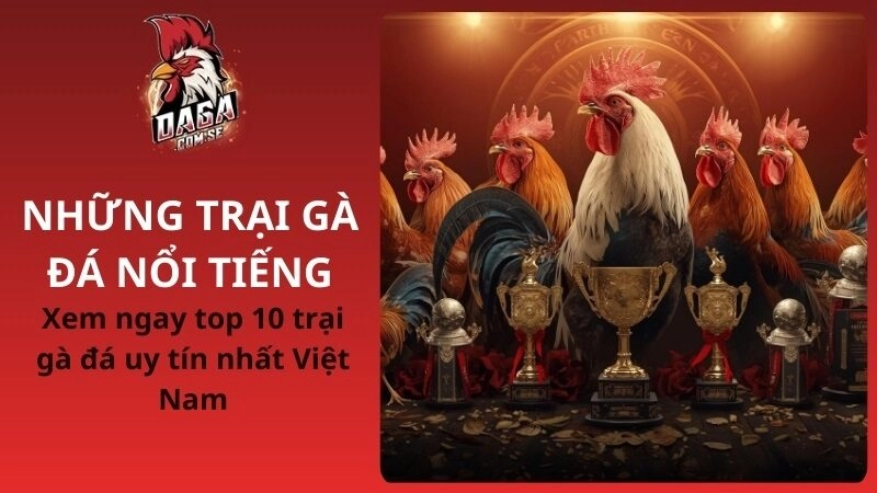 Top 10 trại gà đá nổi tiếng uy tín nhất Việt Nam 2026