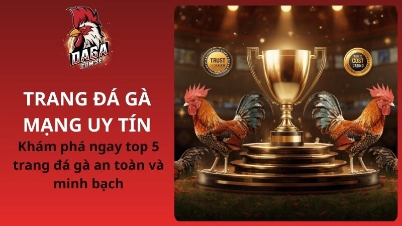 5 trang đá gà mạng uy tín, an toàn và minh bạch 2026